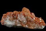 Natural, Red Quartz Crystal Cluster - Morocco #161078-2